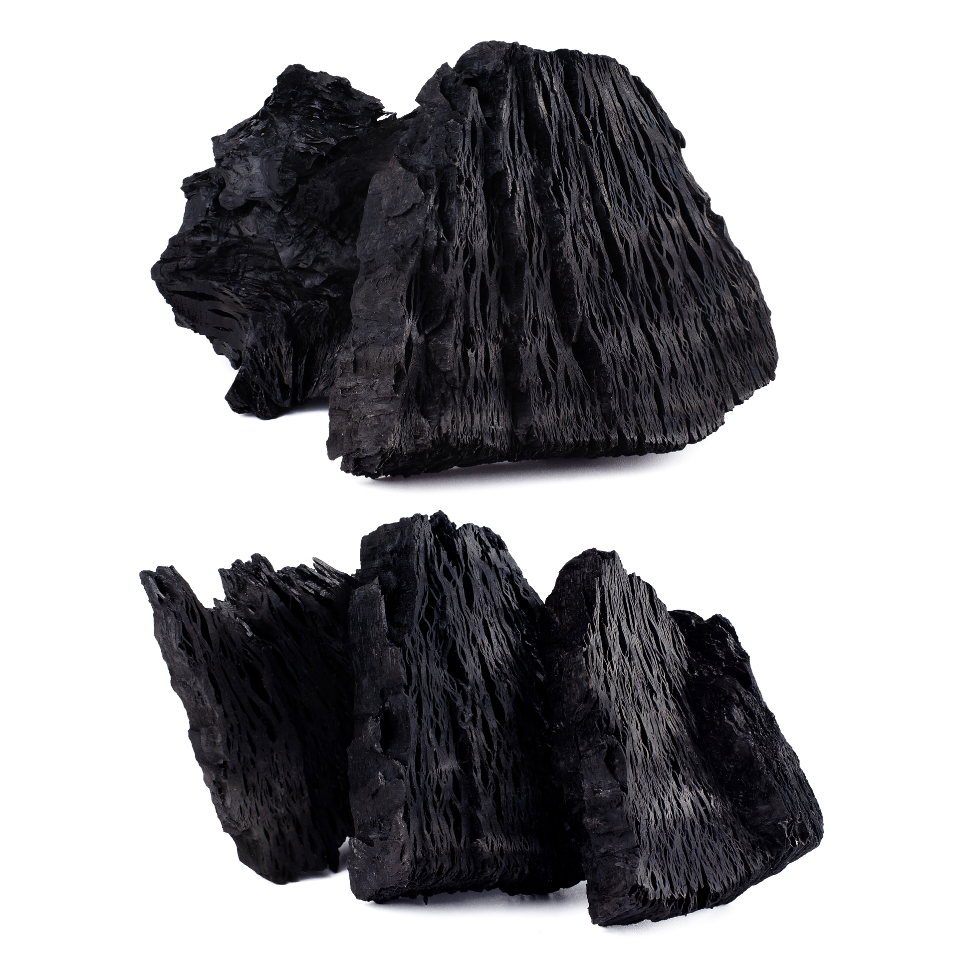 Jardin potager luxuriant